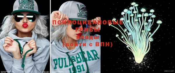 mdpv Козельск