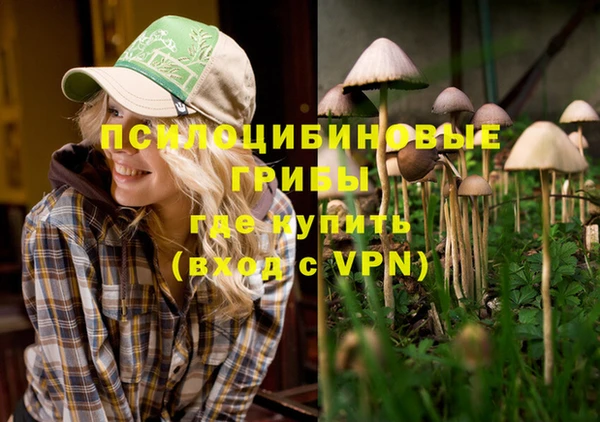 Альфа ПВП Козловка